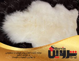 چرم طبیعی گوسفندی