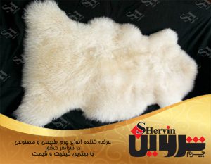 پوست گوسفند مرینوس